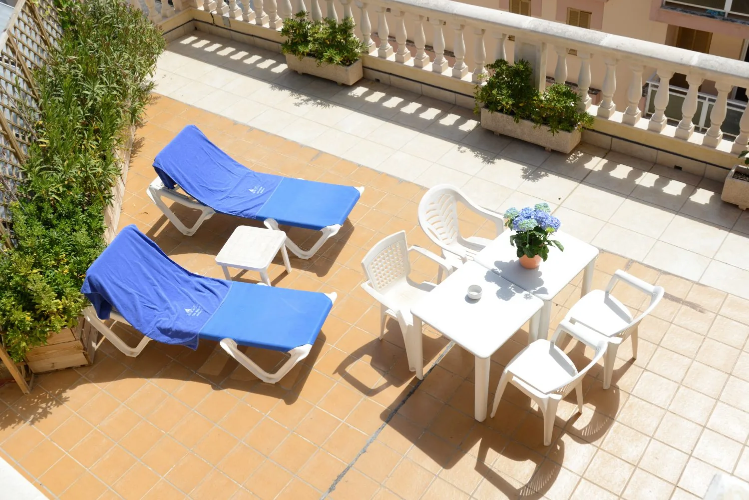 Suite at Hotel Amoros