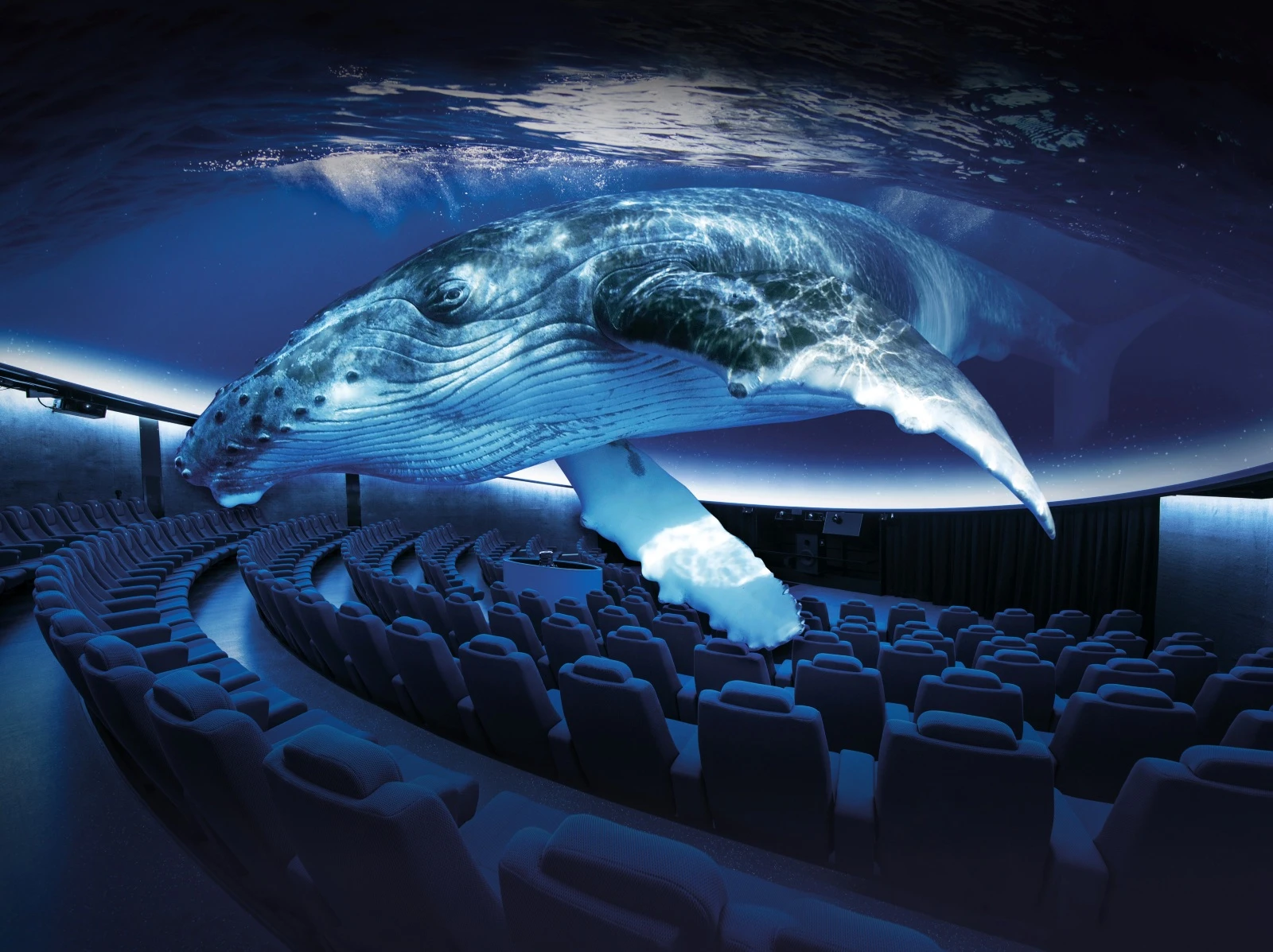 Palma Aquarium — photo 2 of 5