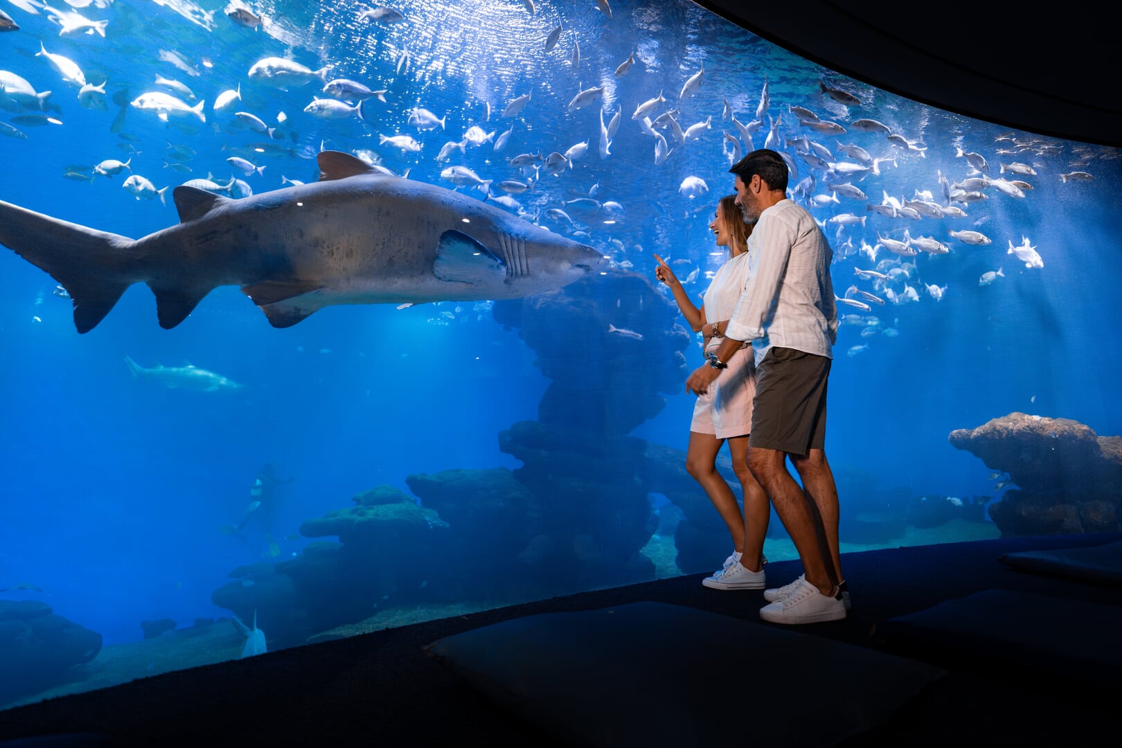 Palma Aquarium — photo 3 of 5