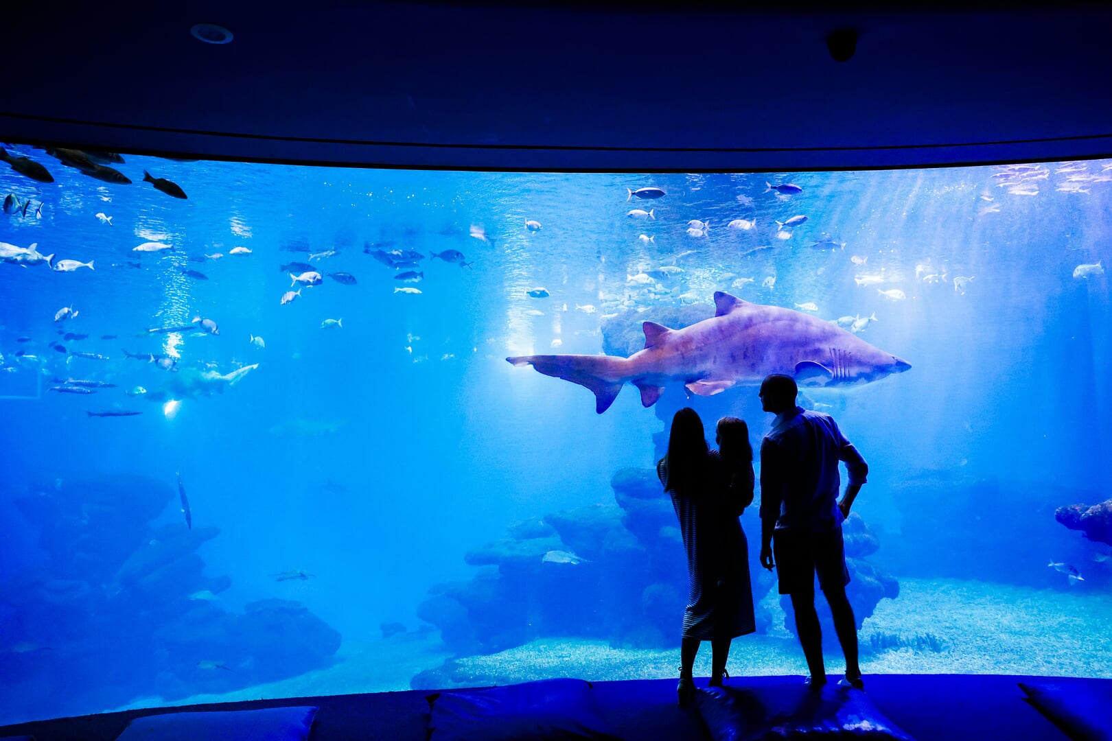 Palma Aquarium — photo 4 of 5