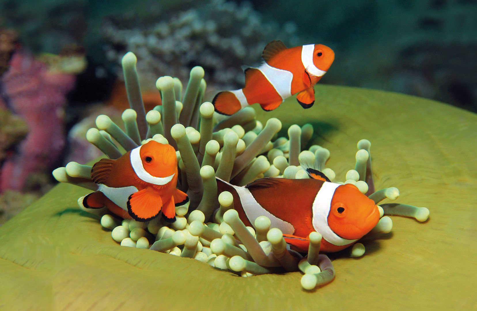 Palma Aquarium — photo 1 of 5